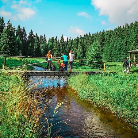 Apartament In The Sky - Kraljevi Cardaci