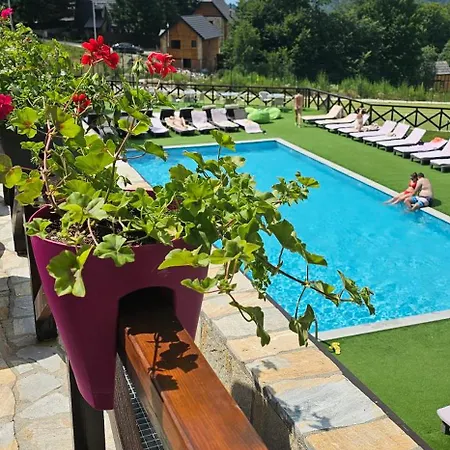 In The Sky - Kraljevi Cardaci *