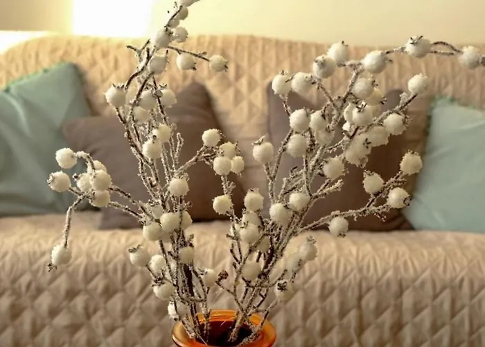 In The Sky - Kraljevi Cardaci 아파트 카파오닉