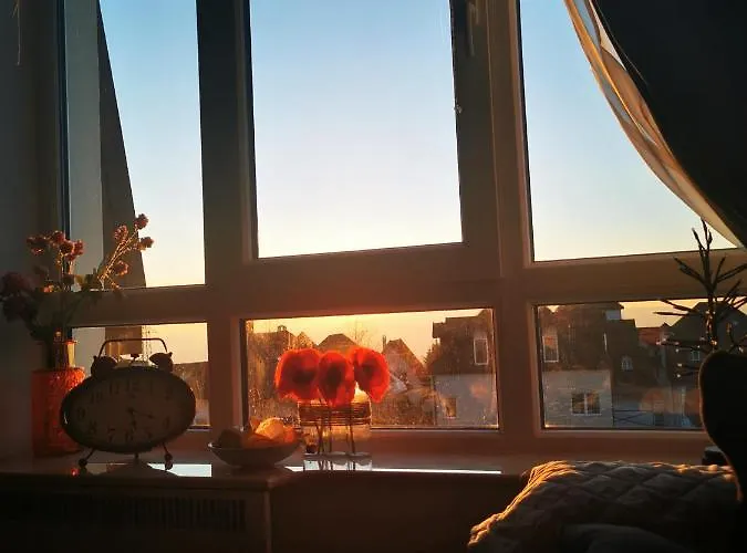 아파트 In The Sky - Kraljevi Cardaci *