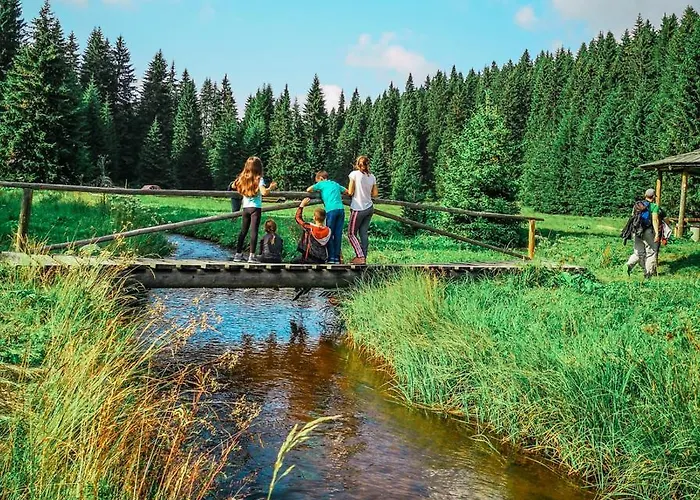아파트 In The Sky - Kraljevi Cardaci