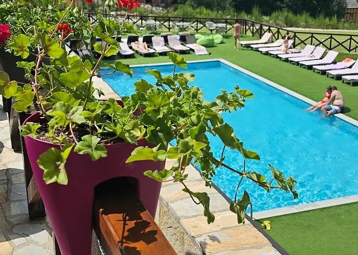 In The Sky - Kraljevi Cardaci *